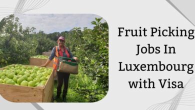 Fruit Picking Jobs In Luxembourg with Visa