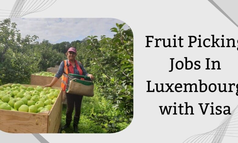 Fruit Picking Jobs In Luxembourg with Visa