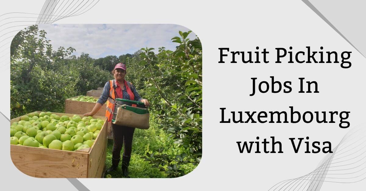 Fruit Picking Jobs In Luxembourg with Visa 2026 - Apply Now