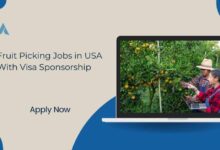 Fruit Picking Jobs in USA