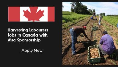 Harvesting Labourers Jobs in Canada with Visa Sponsorship