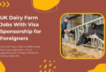 UK Dairy Farm Jobs 