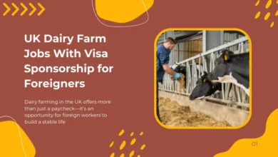 UK Dairy Farm Jobs 