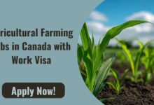 Agricultural Farming Jobs in Canada
