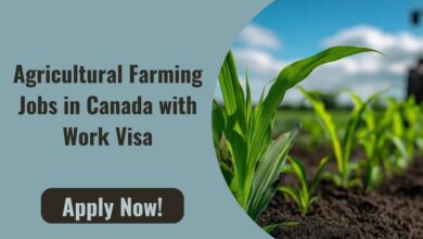 Agricultural Farming Jobs in Canada with Work Visa