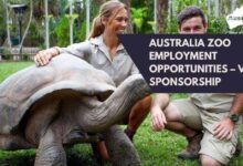 Australia Zoo Employment Opportunities – Visa Sponsorship