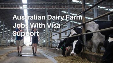 Australian Dairy Farm Jobs With Visa Support