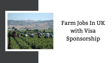 Farm Jobs In UK