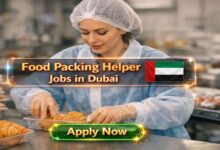 Food Packing Helper Jobs in Dubai