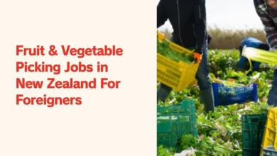 Fruit & Vegetable Picking Jobs in New Zealand