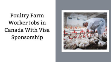 Poultry Farm Worker Jobs in Canada With Visa Sponsorship