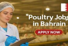 Poultry Jobs in Bahrain