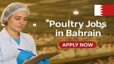 Poultry Jobs in Bahrain with Visa Sponsorship For Foreigners