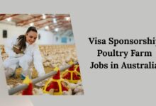 Visa Sponsorship Poultry Farm Jobs in Australia