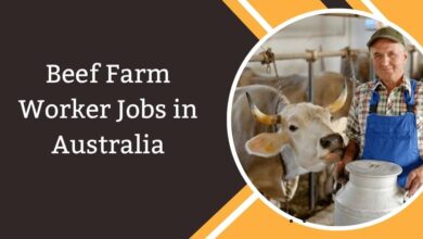 Beef Farm Worker Jobs in Australia