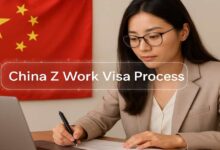 China Z Work Visa Process