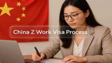 China Z Work Visa Process