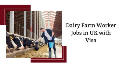 Dairy Farm Worker Jobs in UK with Visa