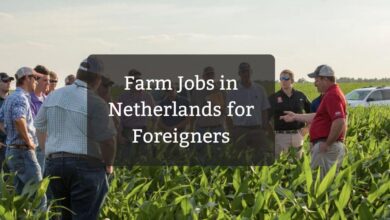 Farm Jobs in Netherlands for Foreigners
