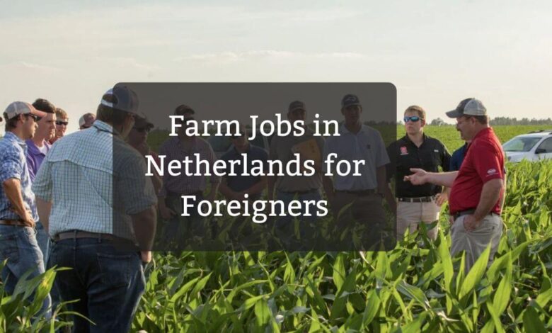 Farm Jobs in Netherlands for Foreigners