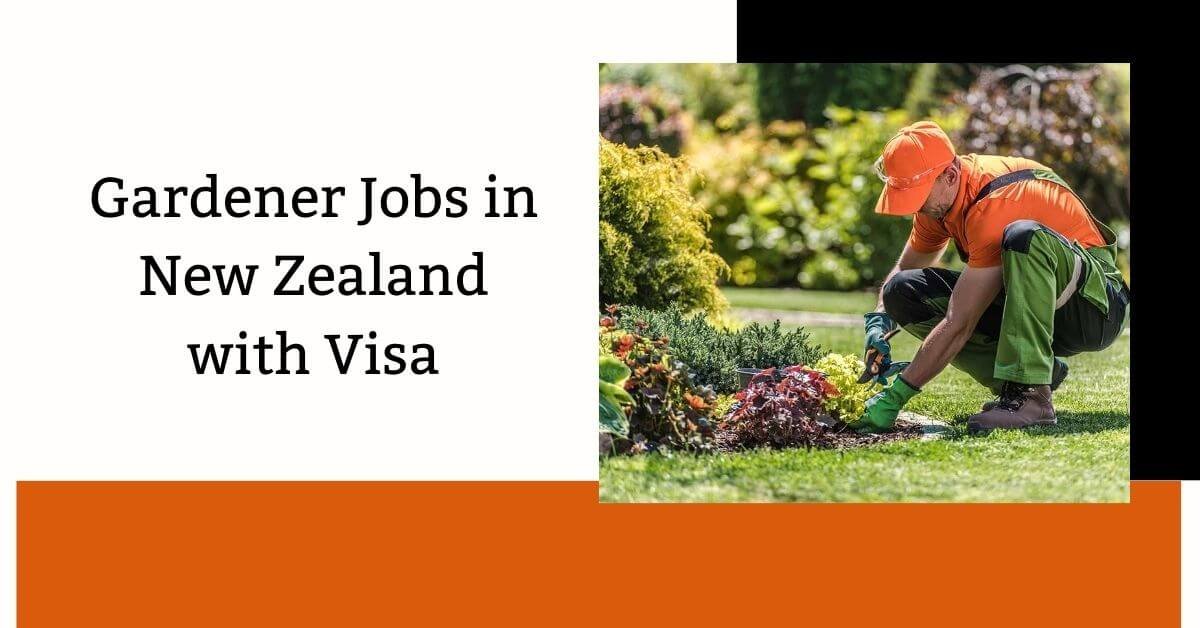 Gardener Jobs in New Zealand with Visa 2026 - Apply Now