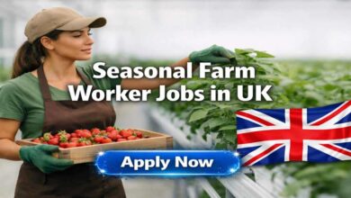 Seasonal Farm Worker Jobs in UK