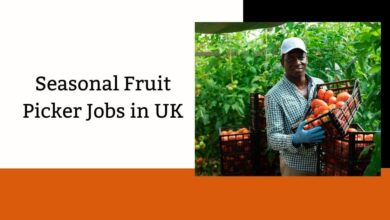 Seasonal Fruit Picker Jobs in UK