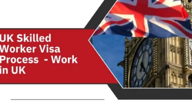 UK Skilled Worker Visa Process