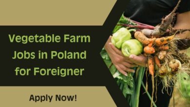 Vegetable Farm Jobs in Poland for Foreigner
