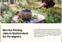 Berries Picking Jobs in Switzerland