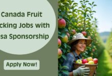 Canada Fruit Picking Jobs with Visa Sponsorship