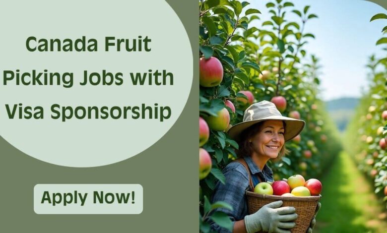 Canada Fruit Picking Jobs with Visa Sponsorship