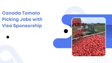 Canada Tomato Picking Jobs