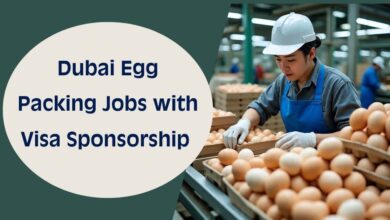 Dubai Egg Packing Jobs with Visa Sponsorship