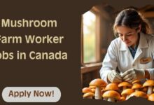 Mushroom Farm Worker Jobs in Canada
