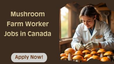 Mushroom Farm Worker Jobs in Canada