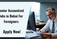 Senior Accountant Jobs in Dubai For Foreigners