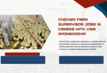 Chicken Farm Supervisor Jobs in Canada
