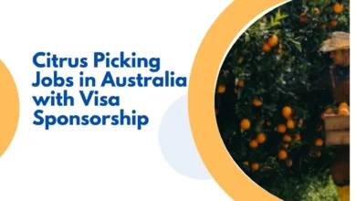 Citrus Picking Jobs in Australia