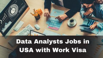 Data Analysts Jobs in USA with Work Visa
