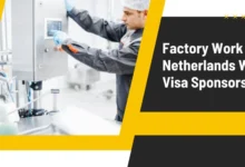 Factory Work in the Netherlands