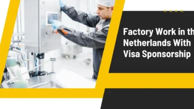 Factory Work in the Netherlands