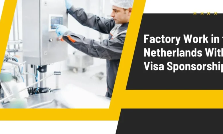 Factory Work in the Netherlands