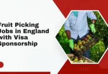 Fruit Picking Jobs in England