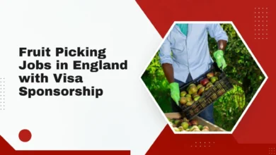 Fruit Picking Jobs in England