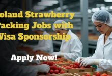 Poland Strawberry Packing Jobs