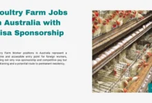 Poultry Farm Jobs in Australia with Visa Sponsorship