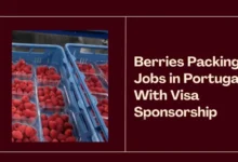 Berries Packing Jobs in Portugal