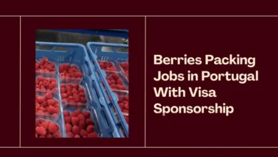 Berries Packing Jobs in Portugal