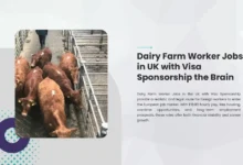 Dairy Farm Worker Jobs in UK